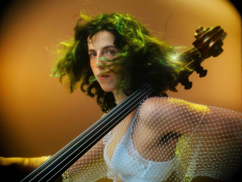 Photo de Knobil Trio en concert